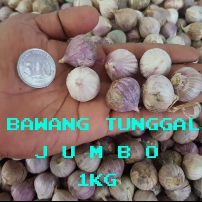 

BAWANG PUTIH TUNGGAL/BAWANG LANANG 1KG