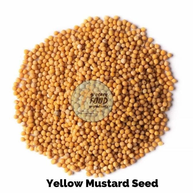 

Yellow Mustard Seed / Biji Sawi - 1Kg