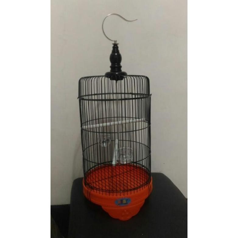 Sangkar Pleci Sangkar Burung Kecil Sangkar Bulat Sangkar Besi