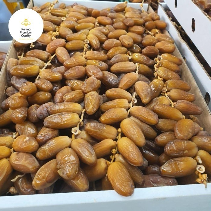 

5KG Kurma Tunisia Tangkai Deglet Nour Dates Algeria King Dates