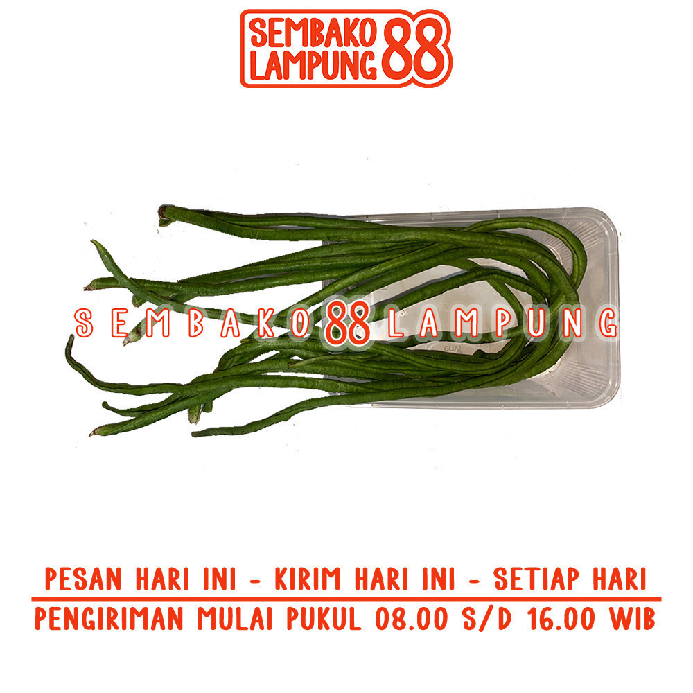 

Kacang Panjang 1 Ikat | Sembako Lampung 88