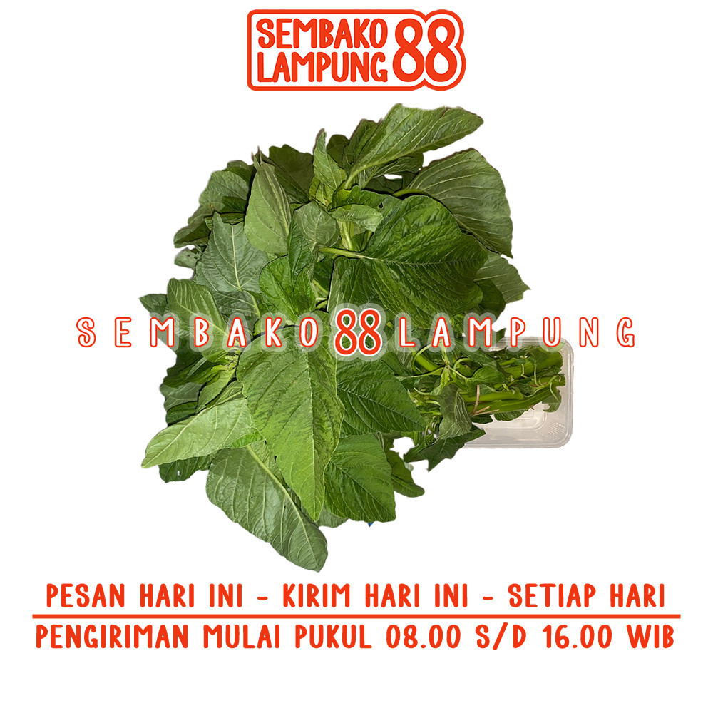 

Bayam Gajah 1 Ikat | Sembako Lampung 88