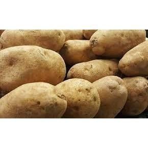 

Kentang Dieng Super 500 Gr Fresh Dari Petani Charlotte