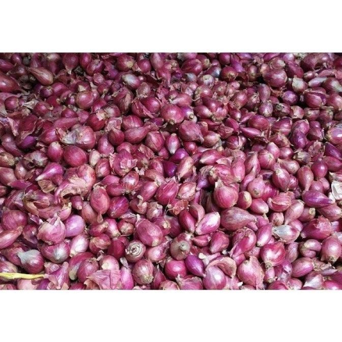 

BERKUALITAS Bawang Merah Besar 500 Gr Berkwalitas Super - Shuffel MURAH