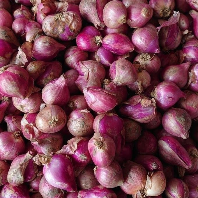 

BERKUALITAS Bawang Merah Besar Sedang Super Kering ( 500Gr ) - Shuffel MURAH