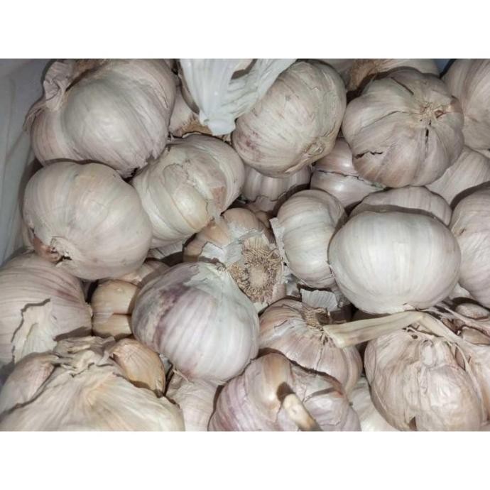 

BARU Bawang Putih Honan Bersih Per Ball - Shuffel TERJAMIN