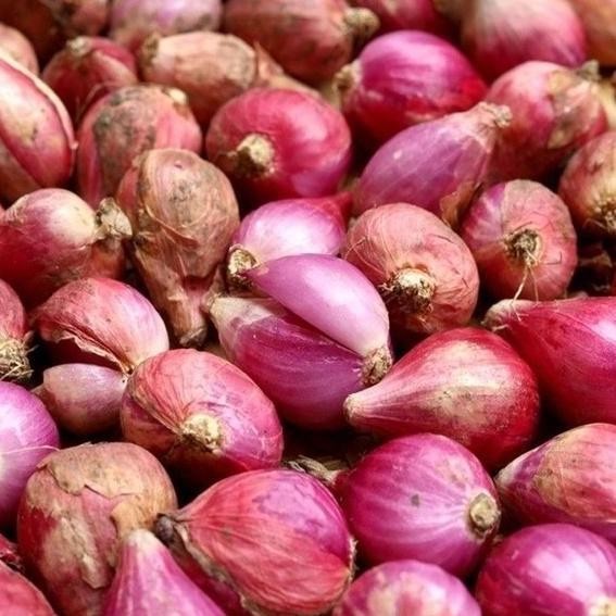 

BERKUALITAS Bawang Merah Sedang 500 Gr Berkwalitas Kering - Shuffel MURAH