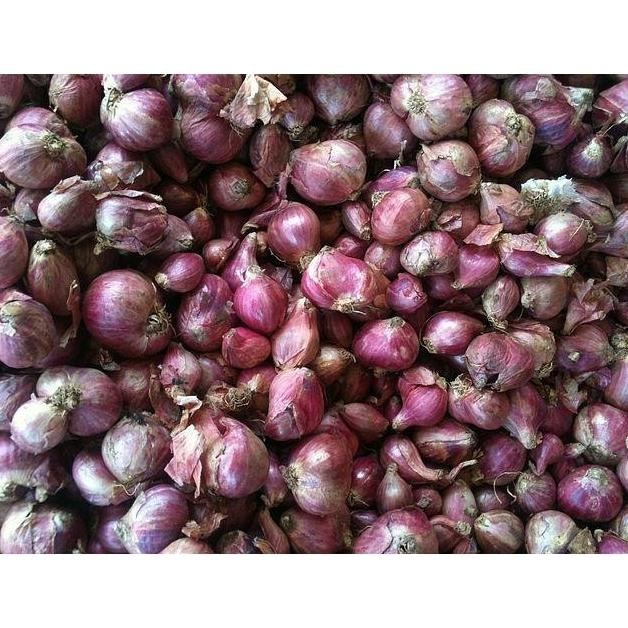

BERKUALITAS Bawang Merah Besar Sedang Super Kering 1/2Kg Fresh Dari Petani - MURAH