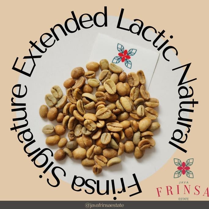 

Greenbean Arabika Frinsa Signature Extended Lactic Natural