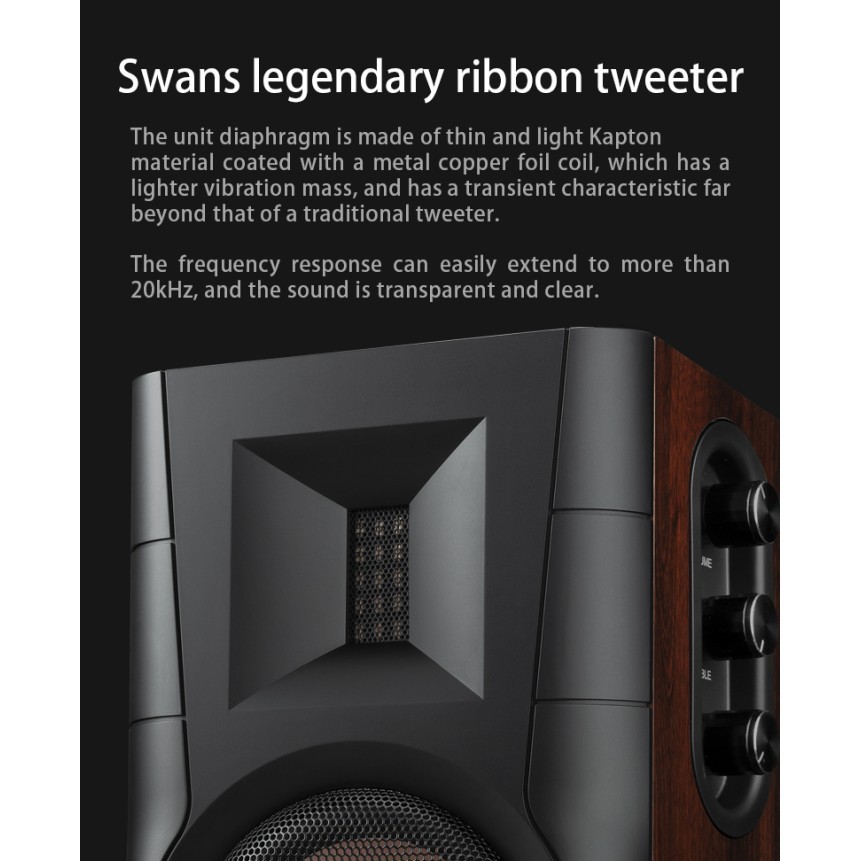 Swans Hivi D100 2.0 Professional Ribbon Tweeter Wireless Speakers