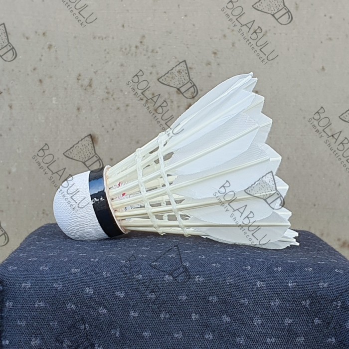 Shuttlecock Saxon Pro