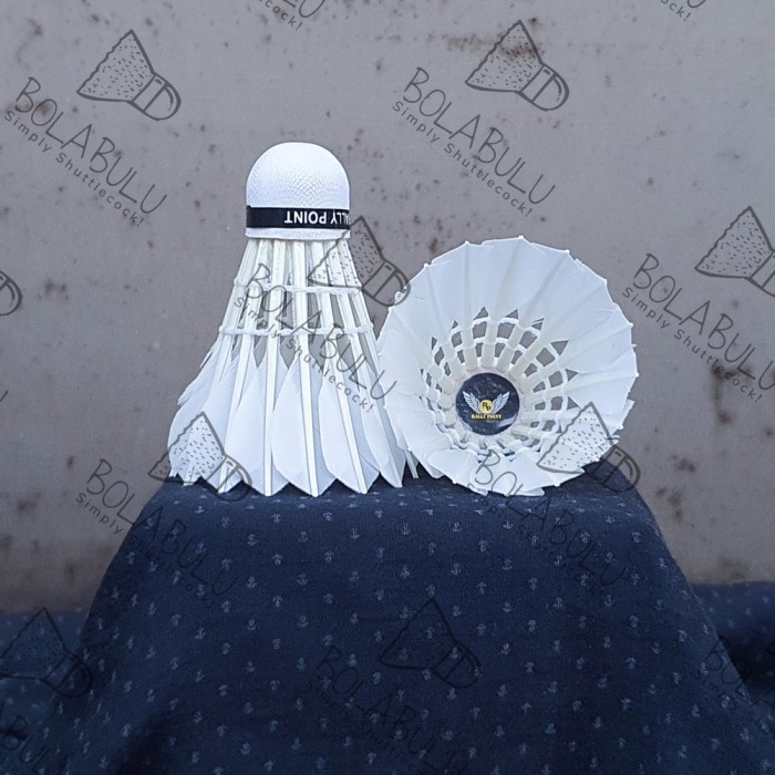 Shuttlecock Rally Point - All Varian