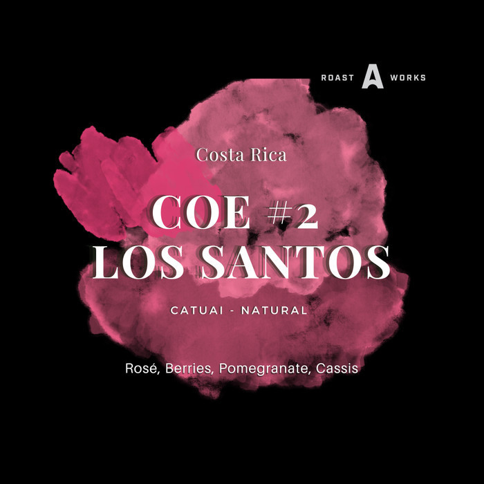 

Costa Rica Coe #2 Los Santos Catuai Natural (Filter 100Gr) - Specialty