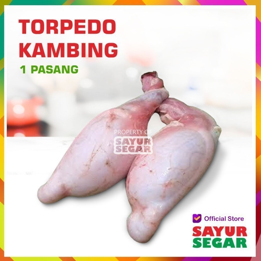 

Torpedo Kambing 1 Pasang