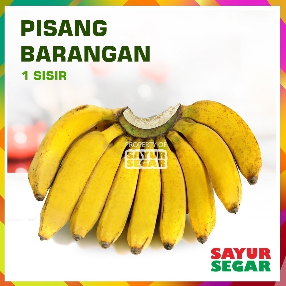 

Pisang Barangan 1 Sisir Fresh