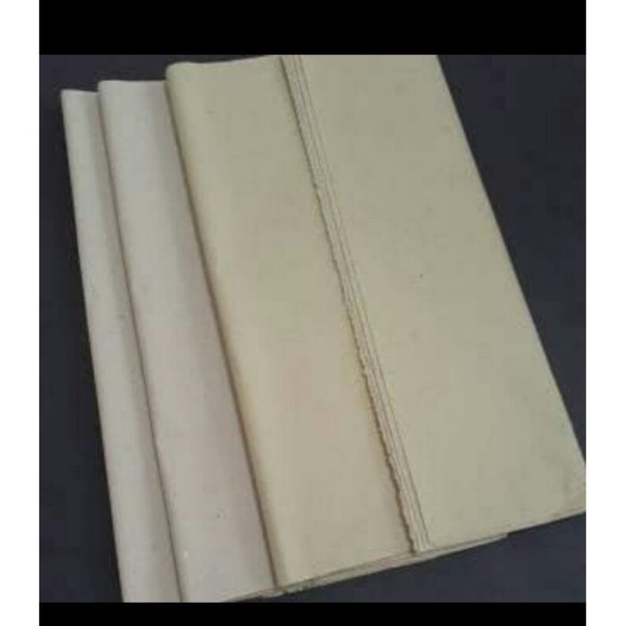 

Adlian Kertas Goreng Tebal [ 50Cm X 62,5Cm ] Isi 10 Lembar