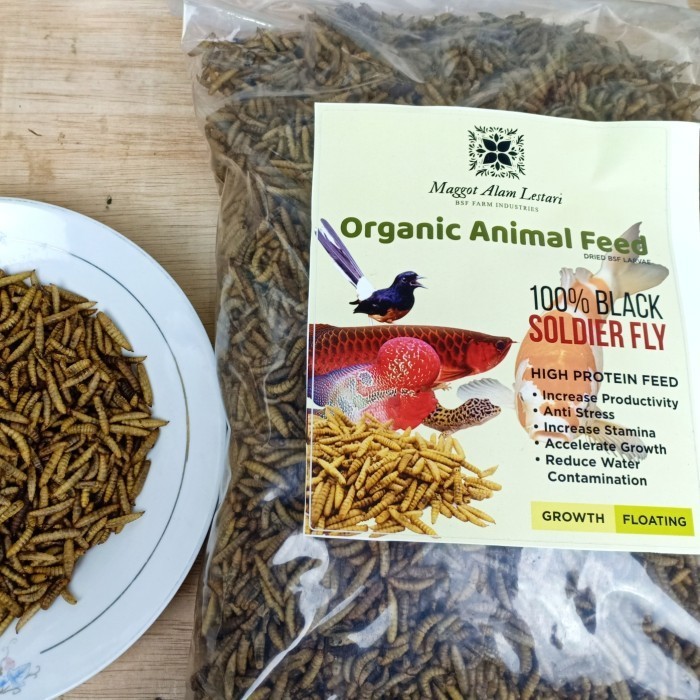 MAGOT KERING 1KG GRADE AA