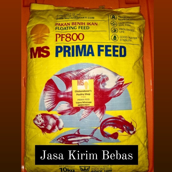PELET IKAN PELLET IKAN PAKAN PF 800 BENIH BIBIT LELE GURAME NILA 10KG