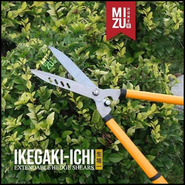 TERLARIS MIZU IKEGAKI-ICHI HEDGE SHEARS GUNTING RUMPUT GUNTING PAGAR