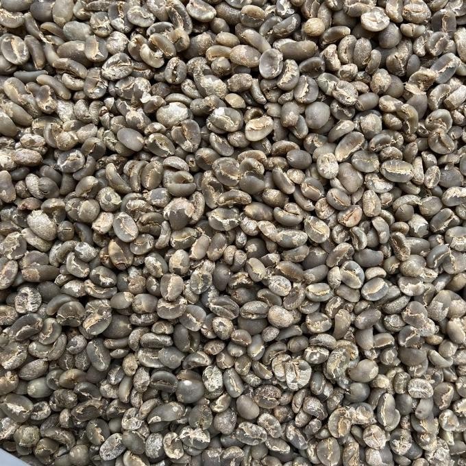 

Green Bean 1Kg Grade 1 Mandheling Semi Wash -Biji Kopi Sumatra Arabika