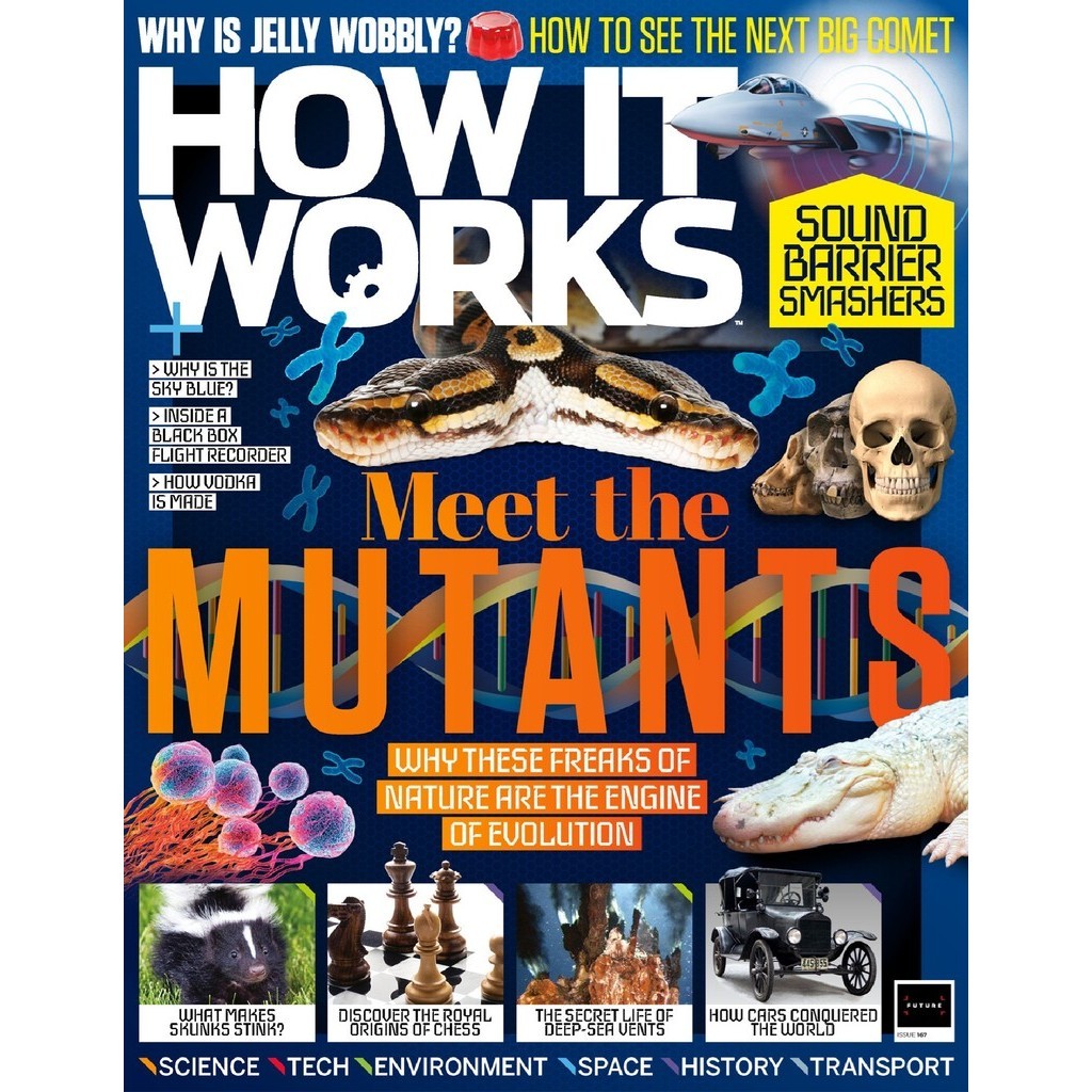 

How It Works - Issue 167 (Sains / D)