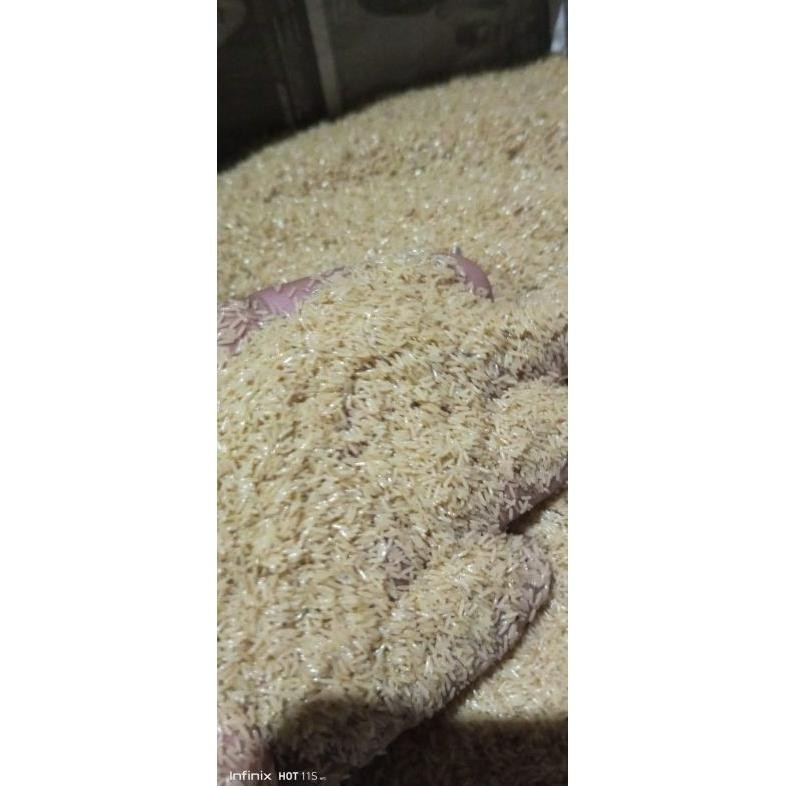 

PK32 Telur Jangkrik Alam kemasan 500gram Sale