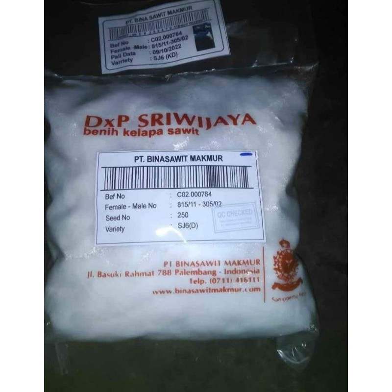 Bibit sawit unggul jaya Sriwijaya 5