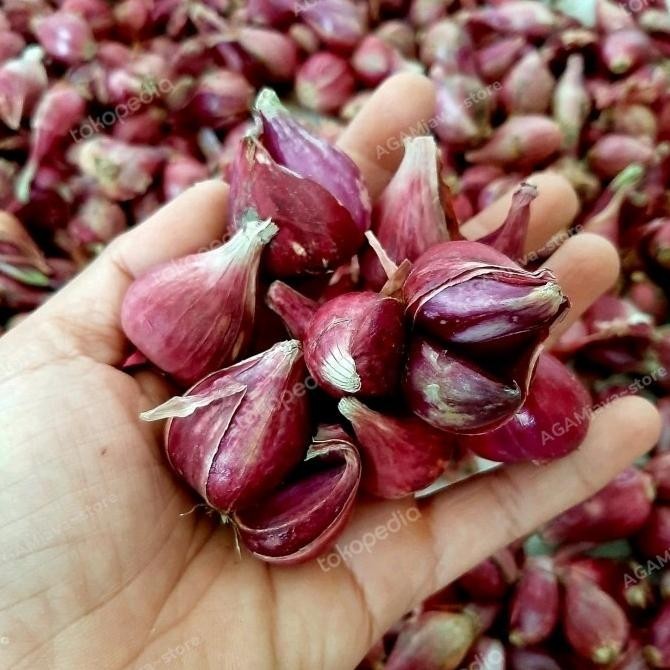 

NEW PRODUK BAWANG MERAH ASLI BREBES ( 1 KG ) !!!!!