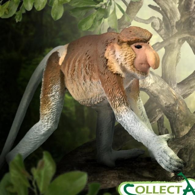 Collecta 80014 - Proboscis Monkey - Animal Figure