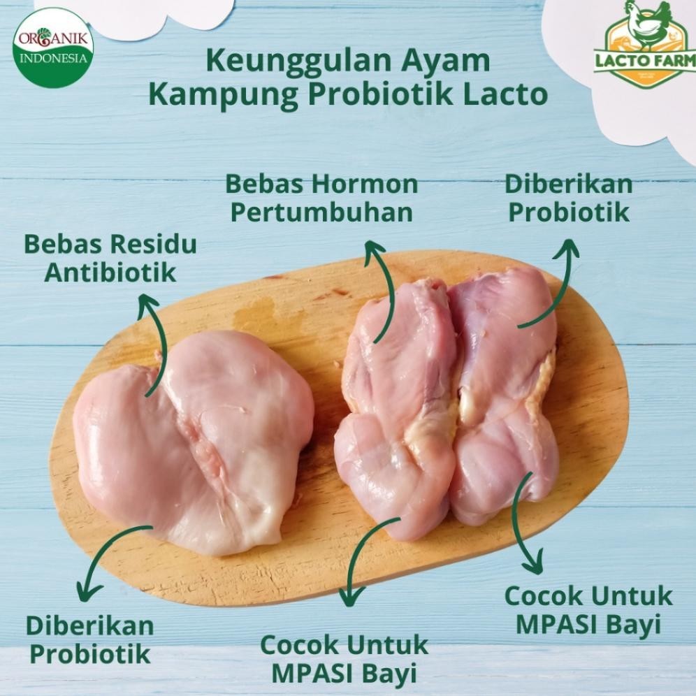 

gd-12 Tulang Ayam Organik Kaldu MPASI Organic Chicken Bones Bone Broth Lacto Farm Probiotik Jamu No Hormones Antibiotics - Nishimurashop Nishimura Original