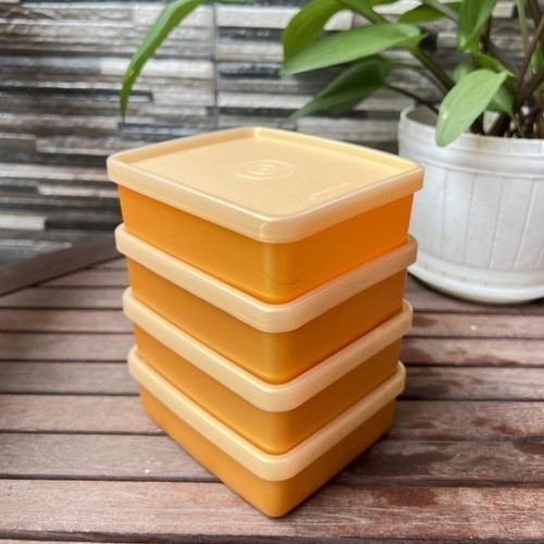 Kotak Makan Tempat Bekal Tupperware Kecil Mini Square Away