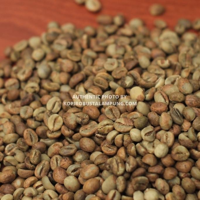 

Kopi Robusta Lampung Greenbean Petik Merah - Natural Process