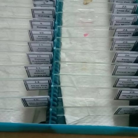 [Ready Stock] Preparat Tumbuhan // Preparat Botani