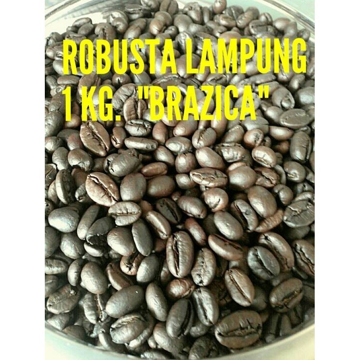 

Kopi Biji Robusta Lampung Merek Brazica "Gold Quality" 1 Kg