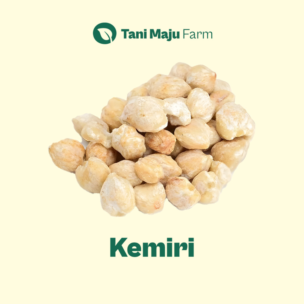 

TANI MAJU - Kemiri Miri Candlenut Fresh Organik (100 gram) - Rempah & Bumbu