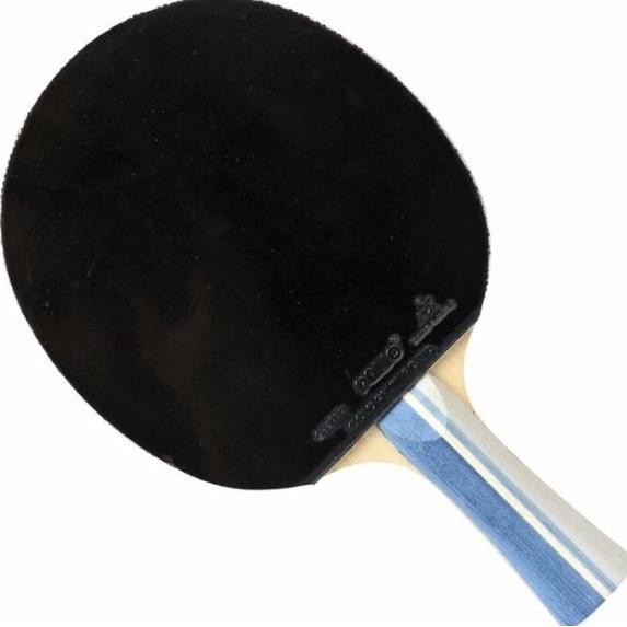 Bet Bat Pingpong Tenis Meja Palio 2008 Carbon Premade Fl
