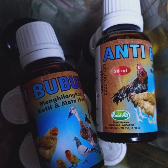 bubul cair obat ayam bubulan telapak bubul gantung by raidall Lampam ID