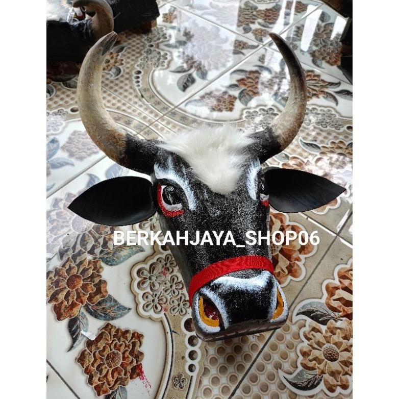 Bantengan Murah Tanduk Asli (Tanduk Sapi Asli) (Murmer)
