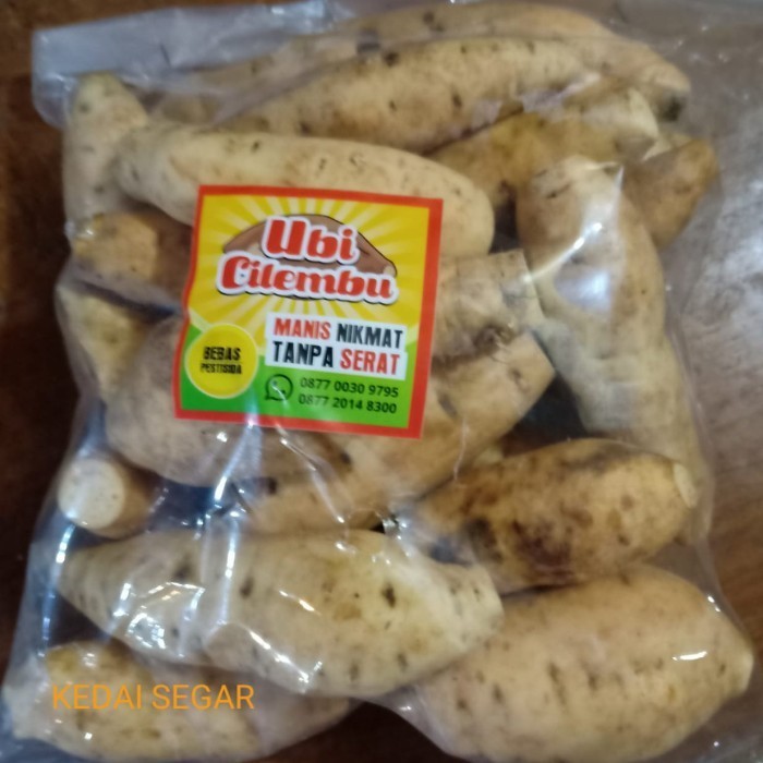 

UBI CILEMBU MENTAH 1 PAX