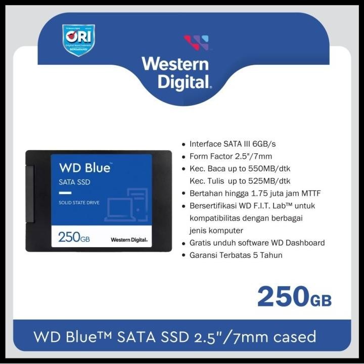 Ssd Wd Blue Sa510 250Gb 500Gb 1Tb 2Tb 4Tb - Ssd Sata