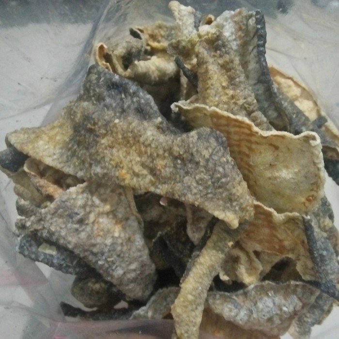 

TERBATAS 500gram Kripik Kulit Salmon Super Premium Renyah diet keto penuh gizi
