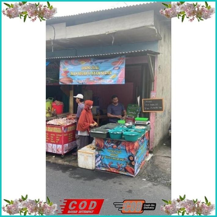 

BISMILLAH IKAN GABUS SEGAR 1KG (BUKAN FROZEN) FREE DIBERSIHKAN GRATIS MINYAK GORENG 1LITER ALISUP