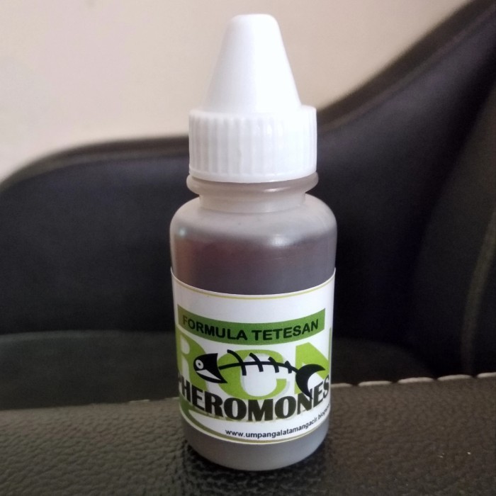 Pheromones (Rcn) Singek