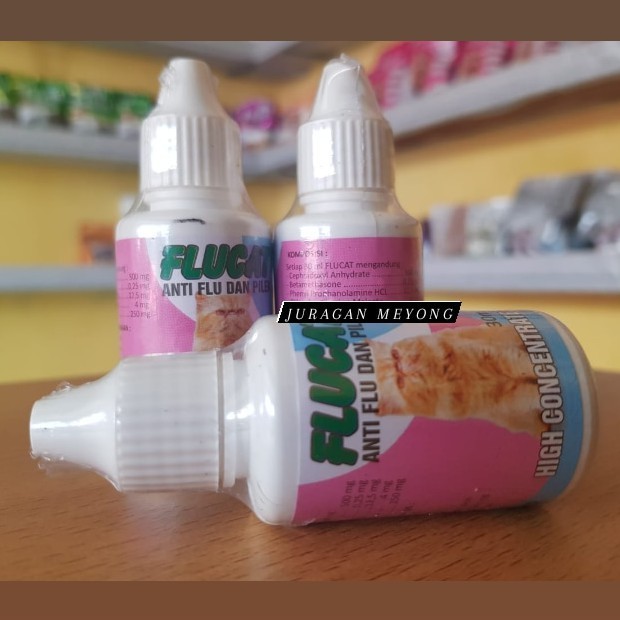 flucat flu cat obat kucing pilek sakit vitamin kucing sakit