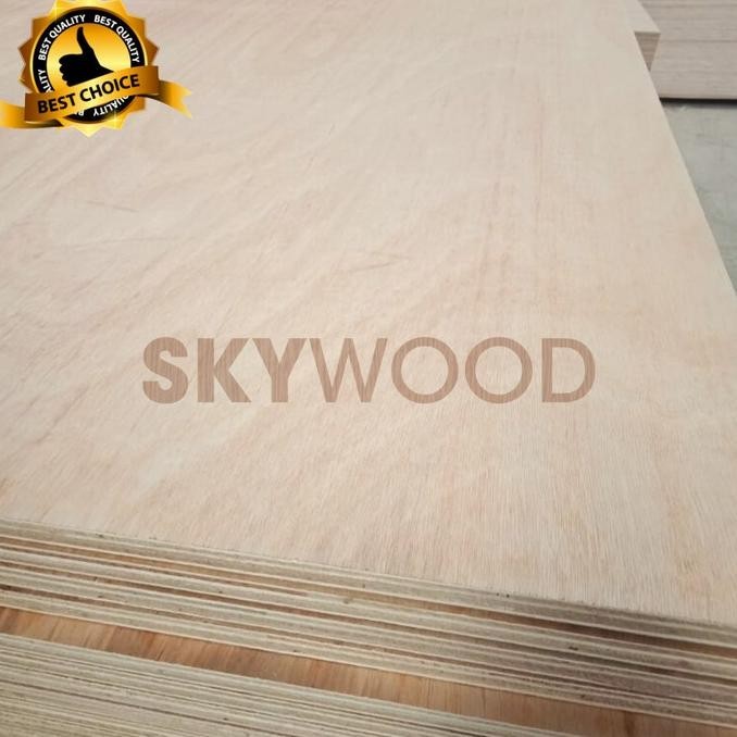 Sale Besar Triplek / Plywood 18Mm