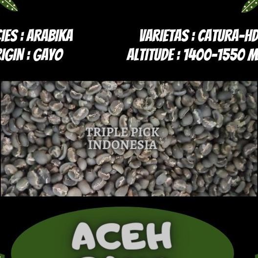 

Green Bean / Biji Kopi Arabika Gayo - Wethull Ter