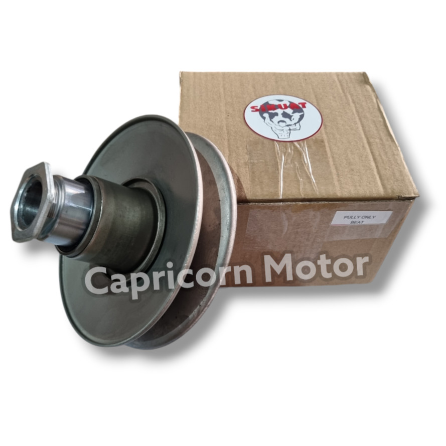 PULY PULLY POLI PULI ONLY BEAT SCOOPY SPACY KARBU SiKUAT R L CEWE COWO