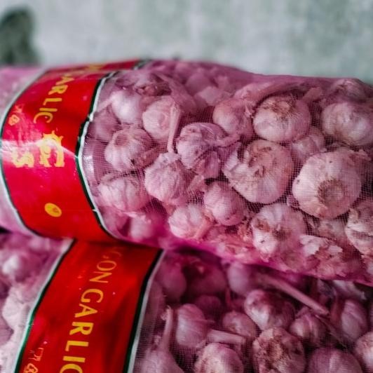 

Jual Bawang Putih Honan Kotor Karungan (+-20 Kg)
