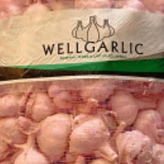 

Bawang Putih Kating 20Kg