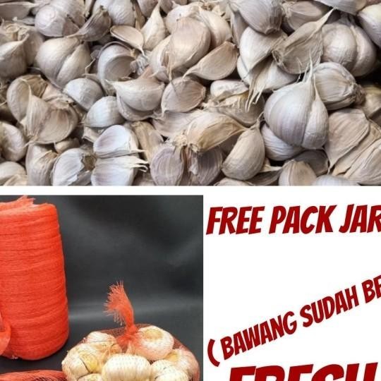 

Bawang Putih Kating 1Kg Kualitas